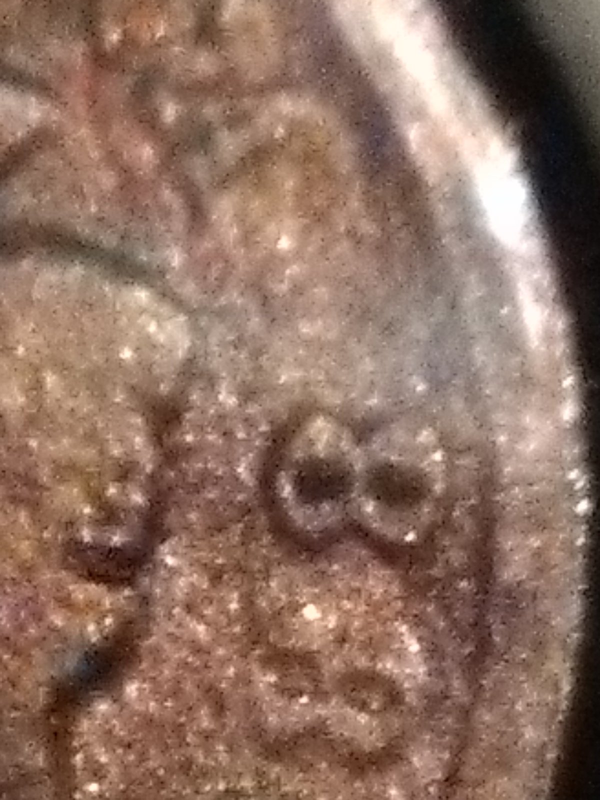 1888-Last-8-Over-7-Indian-Head-Penny